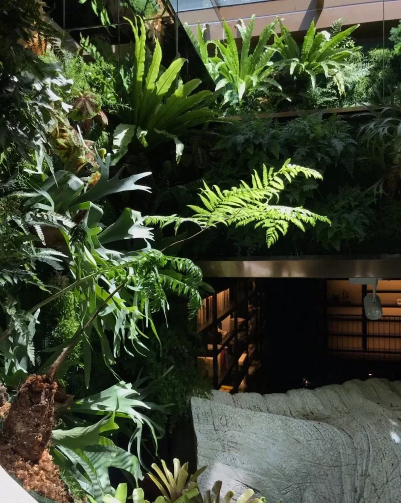 植物